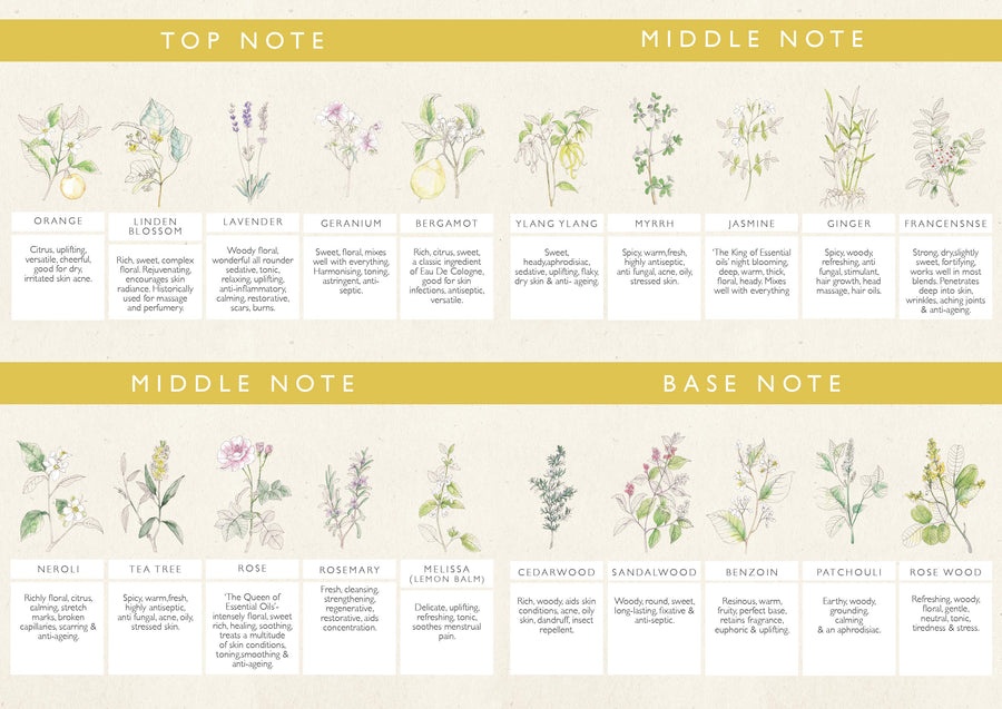 The Benefits of Aromatherapy & Essential Oils for Modern Living